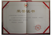 2008年上饶荣誉证书