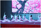 安溪酒店2013年度春节联欢晚会